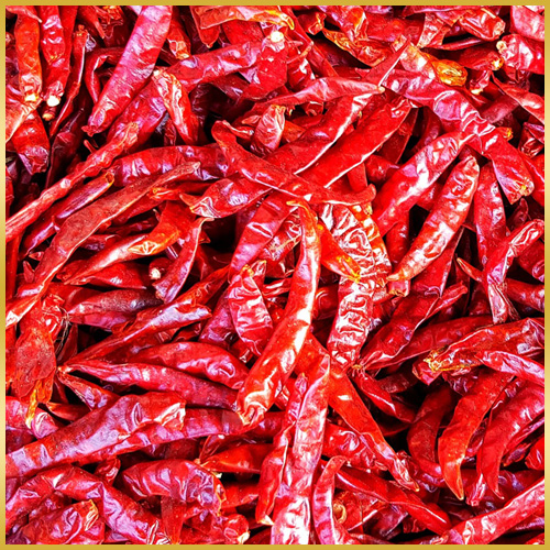Dried Red Chilli