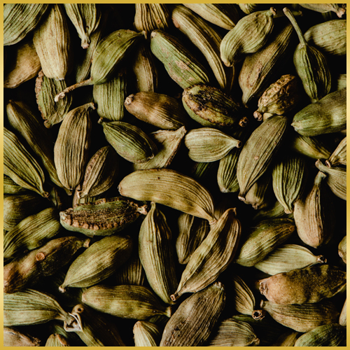 Elaichi (Cardamom)