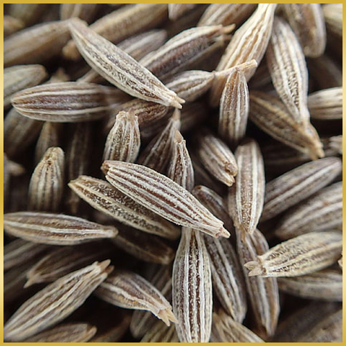 Jeera (Cumin Seeds)