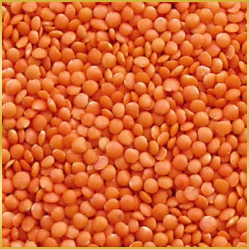 Masoor Dal (Red Lentils)