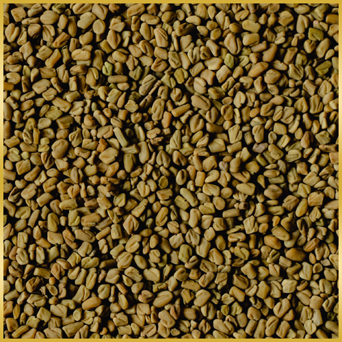 Methi (Fenugreek Seeds)