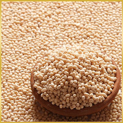 Urad Dal (Split Black Lentils)